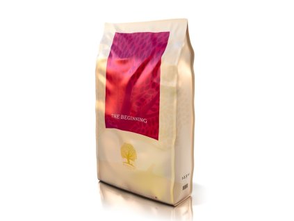 essential foods the beginning10
