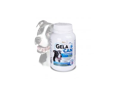 gc chondroforte 150g web
