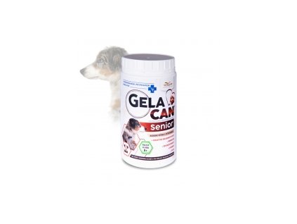 gc senior vp 500g web