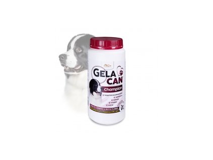 gc championcb 500g webcernobily