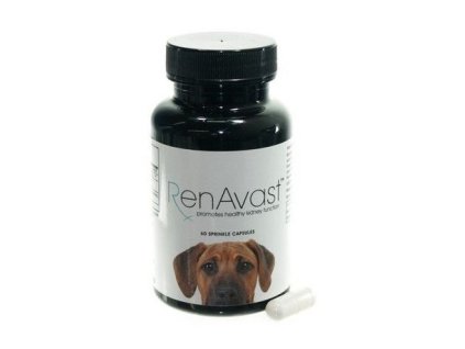 renavast dog 60 cps