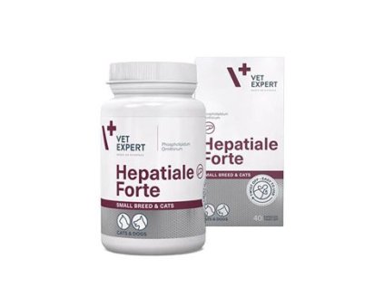 vetexperthepatialesmallbreedcat