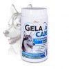 gc chondroforte 500g web