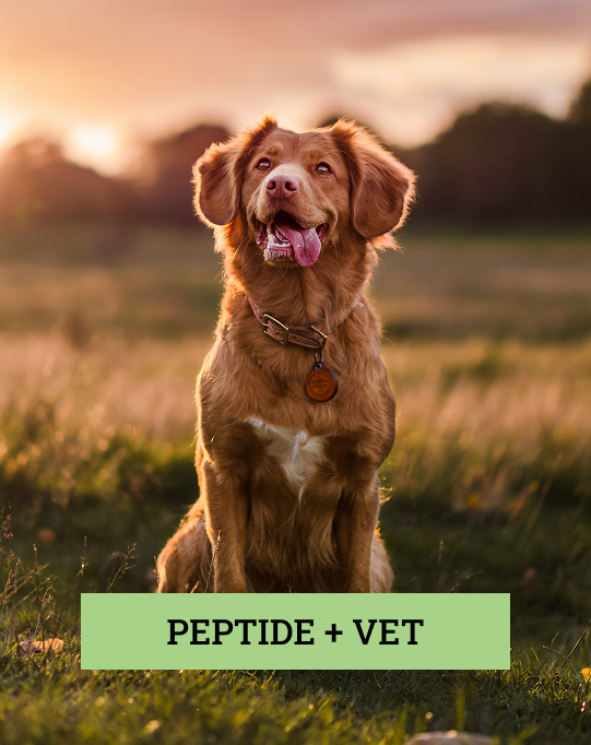 Peptide