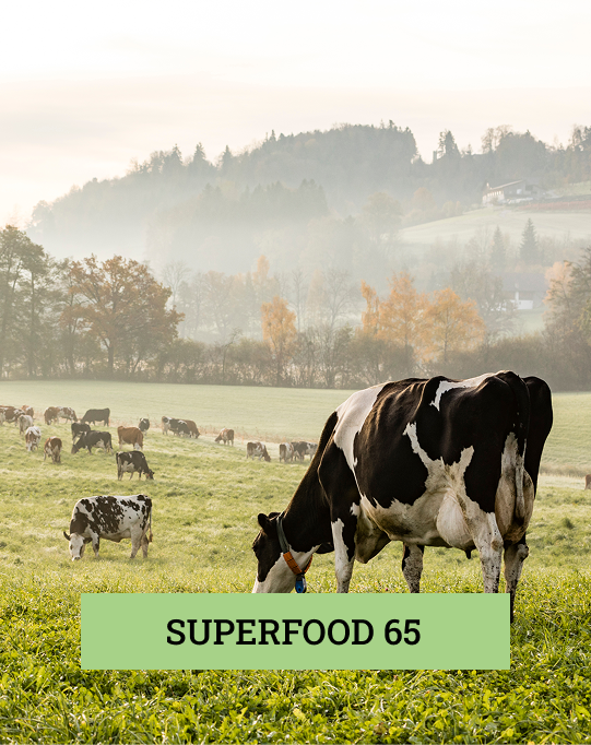 Superfood65