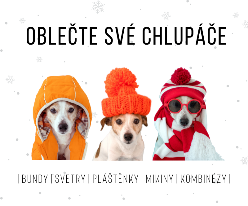 Vyberte svému pejskovi ten správný obleček do každého počasí