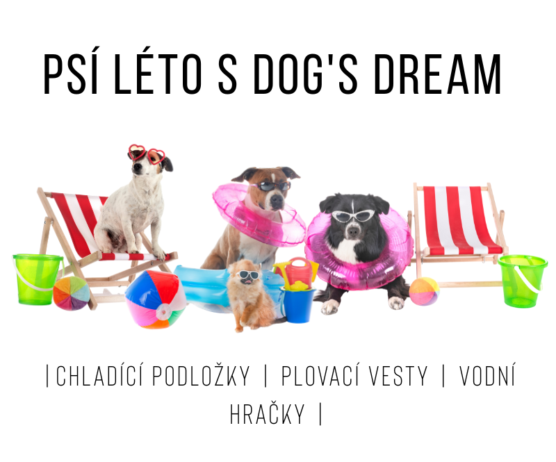Léto s Dog's Dream! Chladící podložky, vodní hračky, chladící hračky pro psy, vodní hrátky pro psy