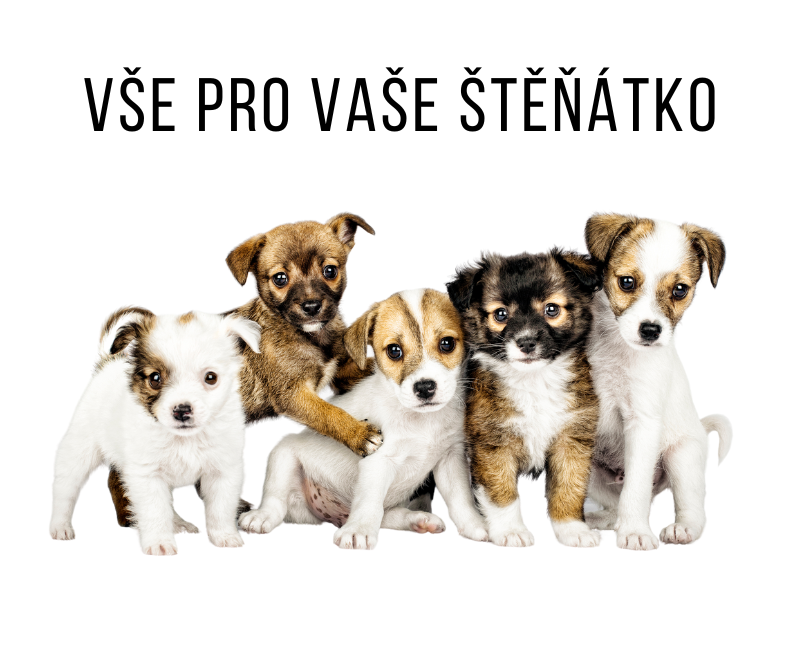 Vybavte se na příjezd Vašeho milovaného štěňátka