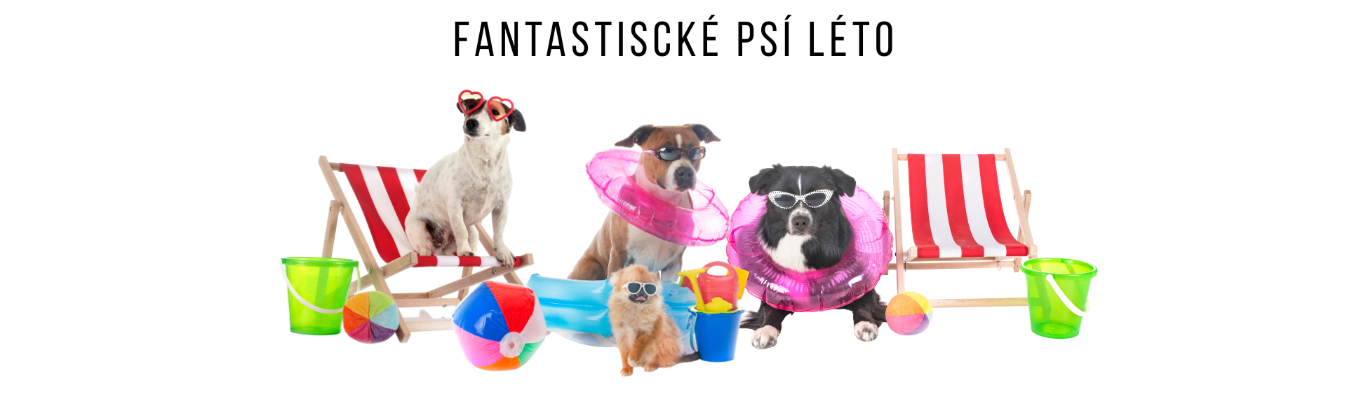 Chladící podložky, vodní hračky, chladící hračky pro psy, vodní hrátky pro psy