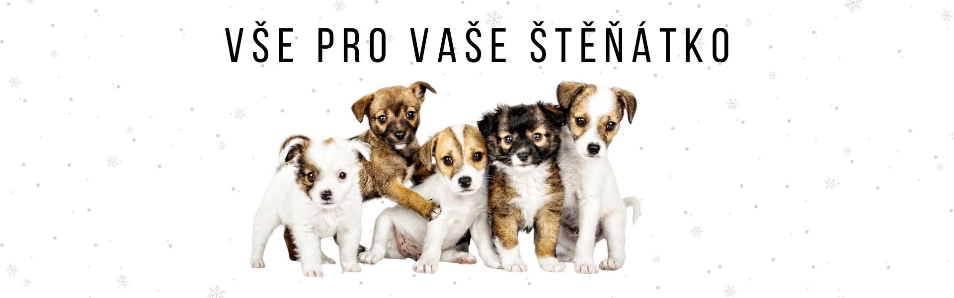 Vybavte se na příjezd Vašeho milovaného štěňátka