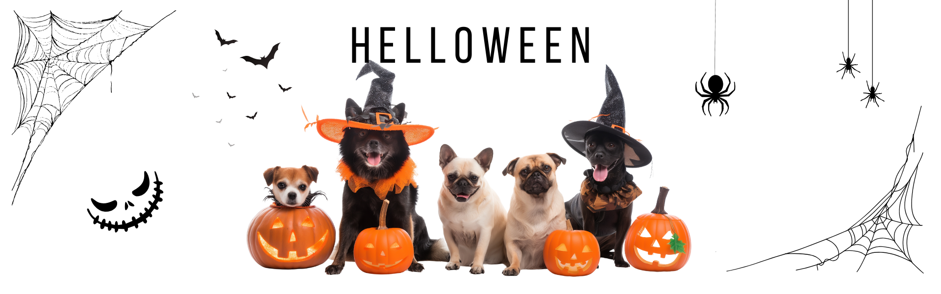 Je tu halloween a s ním i strašidelné kostymy pro psy