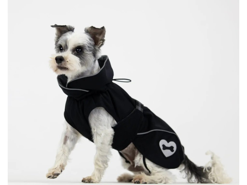 6O6A6033 Edit scaled