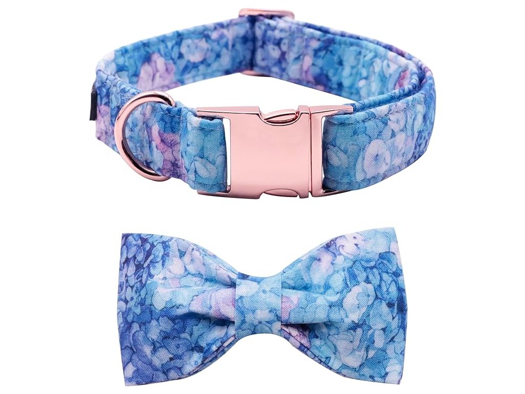 719X8Z1JCHL. AC SX679