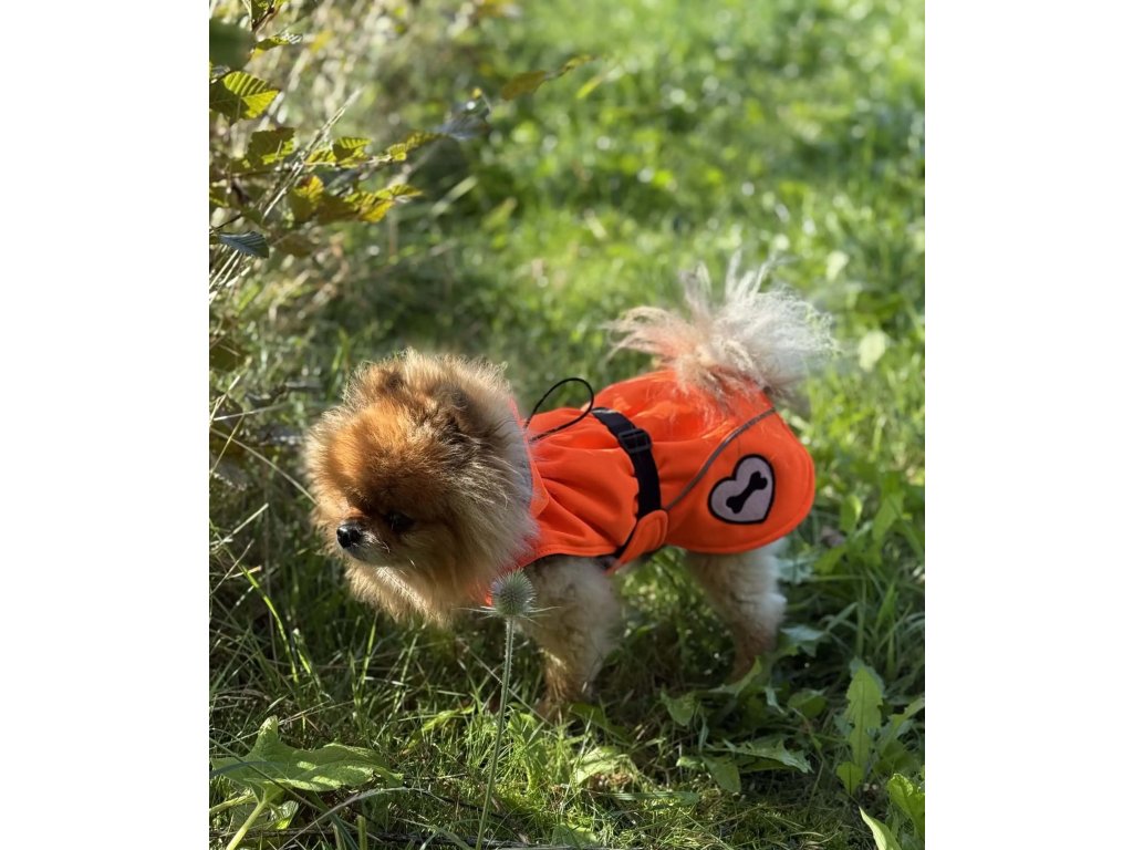 Bone Softshellová bundička NEON ORANGE