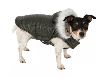 7c24b5098957a9f16c138db678c60af5 mmf1000x1000