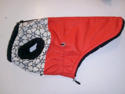 120851380 1016612202101590 1466306760975655671 n