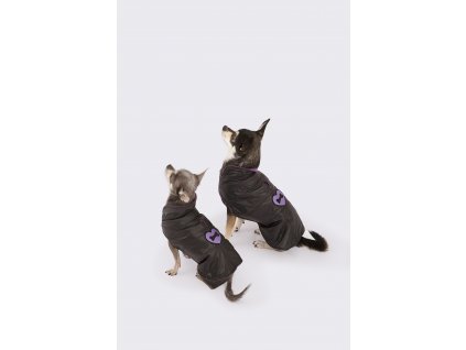 petshop11570