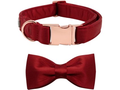 61yeLbzNktL. AC SL1200