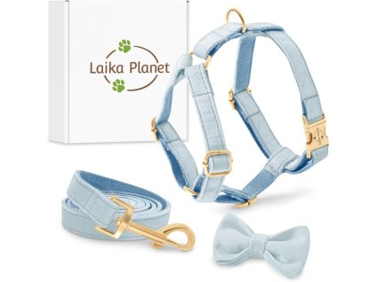 LAIKA postroj s vodítkem 1,50 m a sametovou mašlí modrý L 47-70 cm