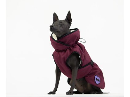 6O6A5076 Edit scaled