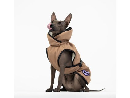 6O6A4973 Edit scaled