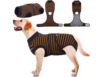 71YQ9sT5NqL. AC SL1500