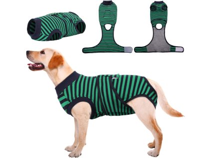 71hA xrYLYL. AC SL1500