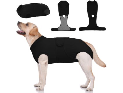 61uXIb52dkL. AC SL1500