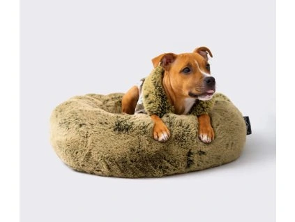 petshop18439 1 scaled