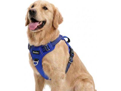 71taV4WzIgL. AC SL1500