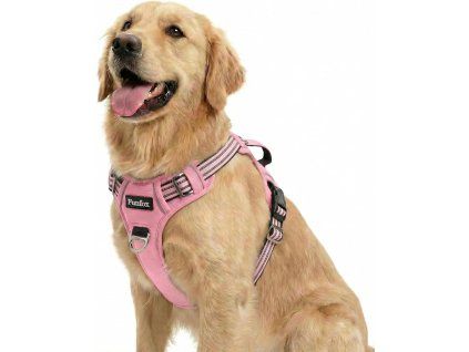 81UoNzvfGqL. AC SL1500