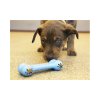 Kong Puppy goodie bone - hračka pro štěňata modrá
