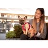 CURLI Postroj pro psy se sponou Air-Mesh Ruby XS, 3-5 kg