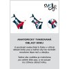 CURLI Postroj pro psy se sponou Air-Mesh Ruby XS, 3-5 kg