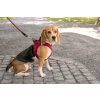 CURLI Postroj pro psy se sponou Air-Mesh Ruby XS, 3-5 kg