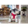 Harness Scout Denver Red 876x585