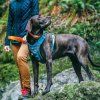 postroj kurgo dog adventure cerny m 275116022
