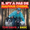 Dogtra 640C Tom Davis obojok 18