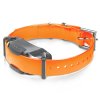 Dogtra ARC 1202s Free plus 3