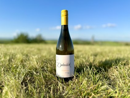 Chardonnay 2023