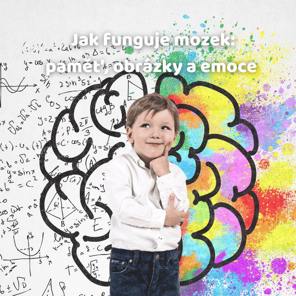 Jak funguje mozek: paměť, obrázky a emoce