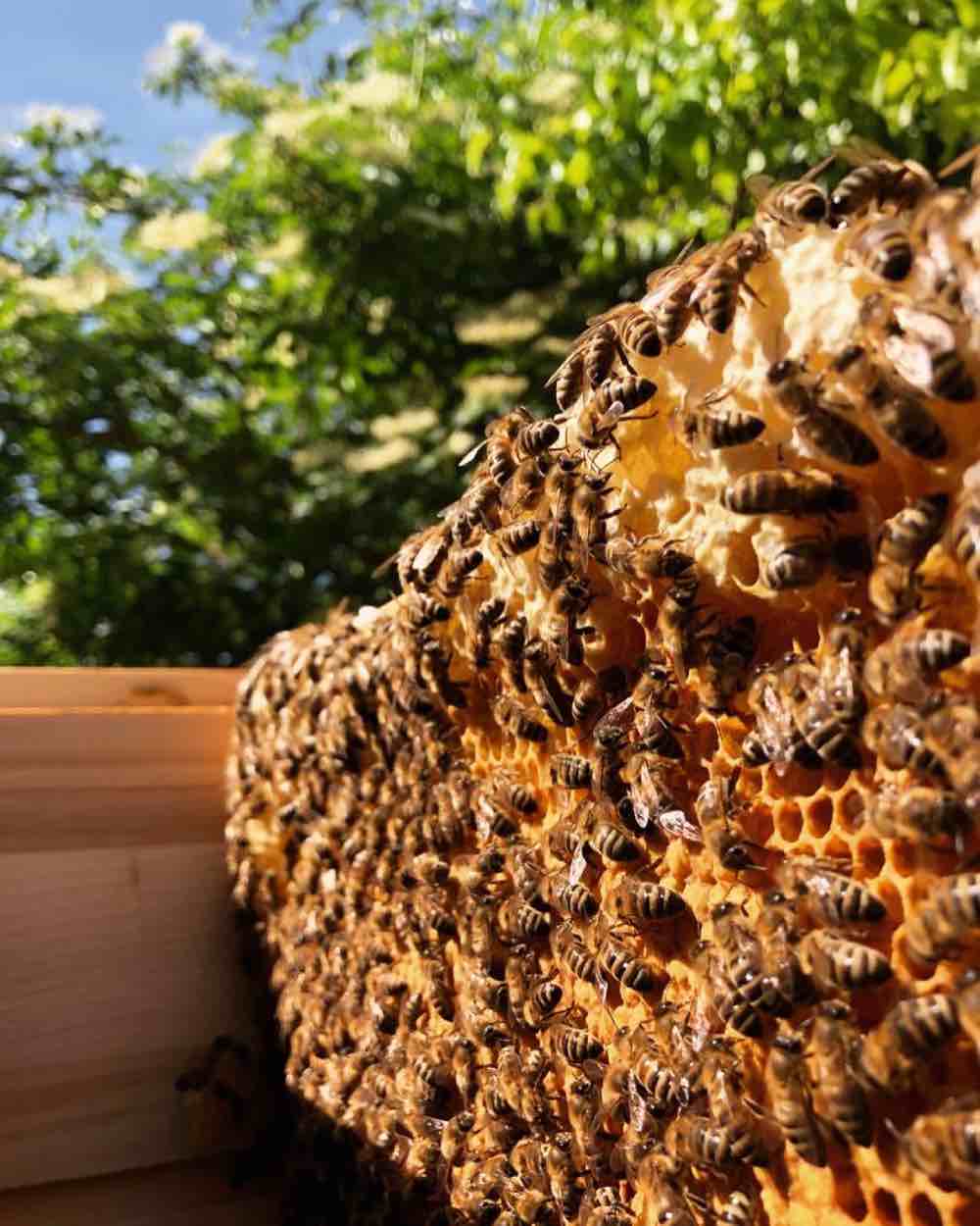 Zdravie pod jednou strechou