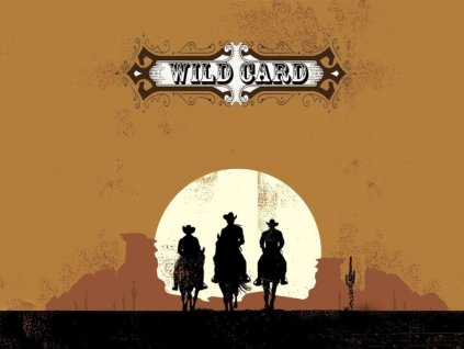 2323 1 wild card bicycle Photoroom