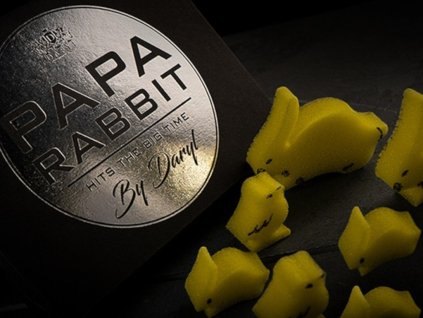 4585 1 papa rabbit Photoroom