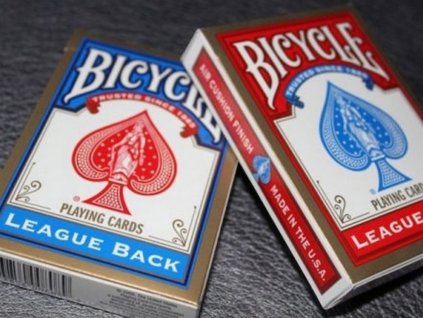 7315 bicycle league back Photoroom