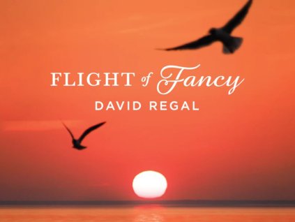 8074 flight and fancy Photoroom