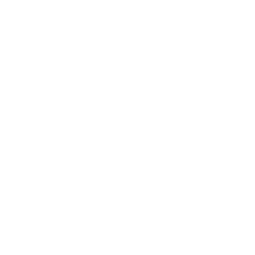 100% PCR