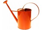 Watering cans, teapots, buckets