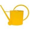Watering Can 2,5L, oval - coloured