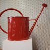 Watering Can 2,5L, oval - coloured